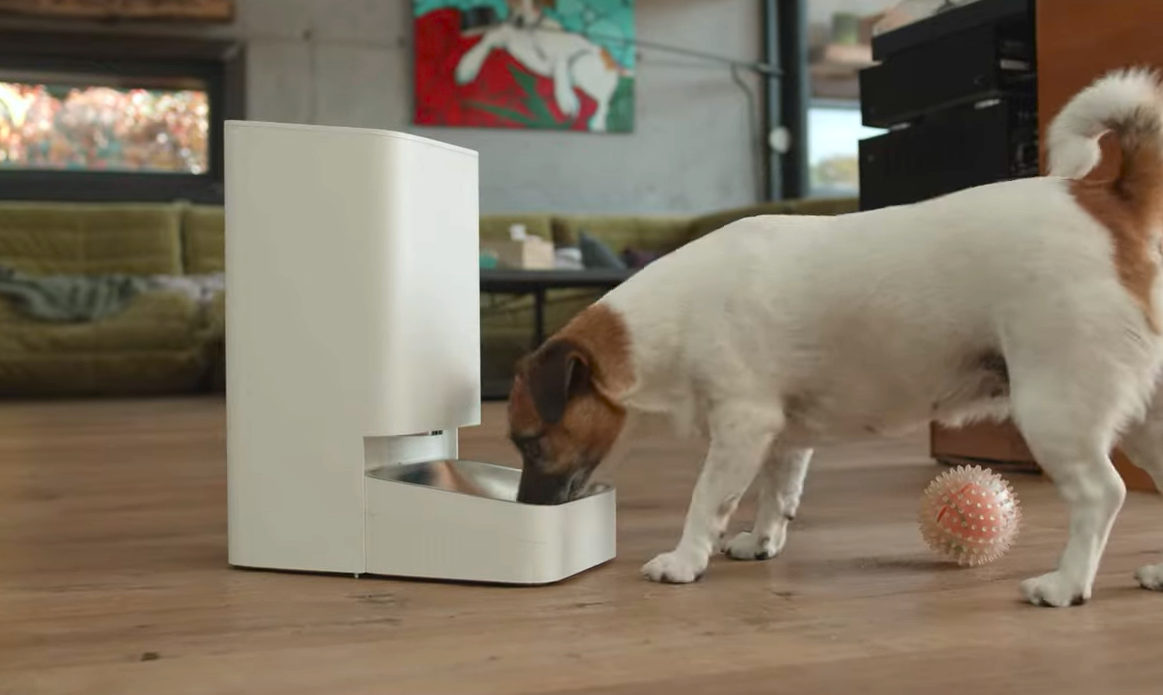 Xiaomi Smart Pet Food Feeder, răsfăț zilnic pentru animalul tău de companie